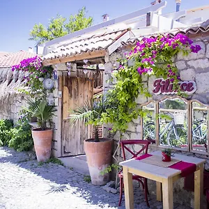  Konukevi Fi̇li̇zce Konuk Evi